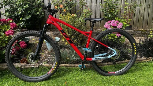 Avalanche comp 2020 mtb - avalanche,
